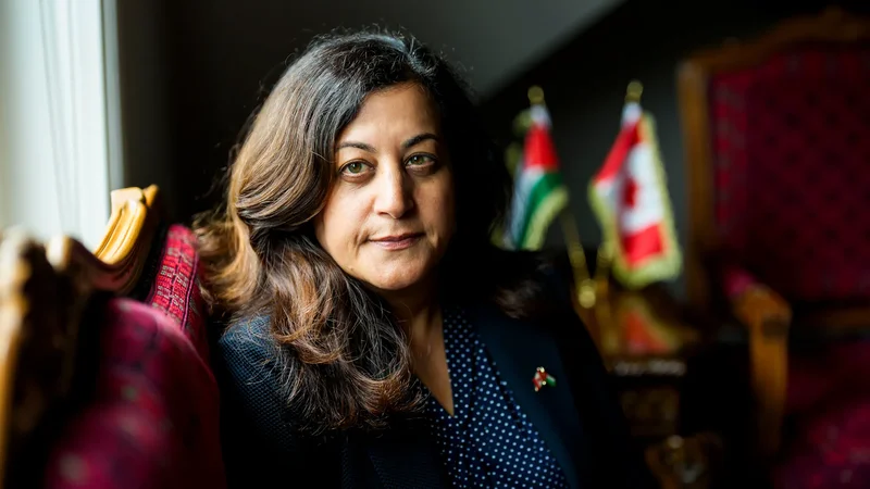 Canada 'pivotal' to peace, must act, Palestine envoy says