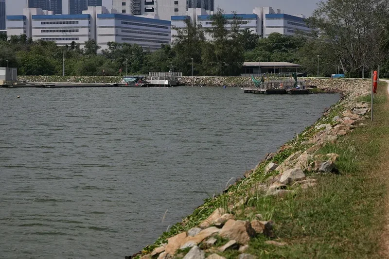PUB files police report after photo of crocodile sighting at Pandan Reservoir found to be fake