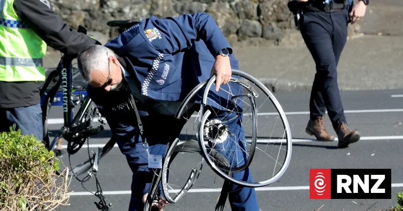 49-year-old allegedly killed dog in violent attack after hitting teenage cyclists in stolen car and assaulting woman