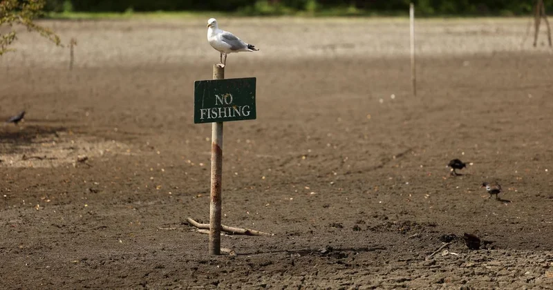 UK drought highlights precarious food system