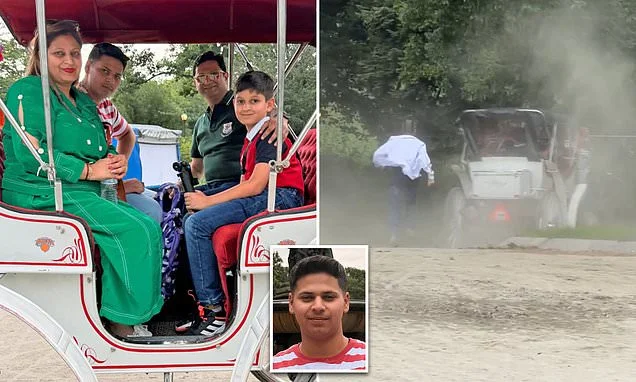 Tourist teen's grieving family demand $105M from NYC after 'stray electrical current' made Central Park horse bolt and kill their son, lawsuit claims