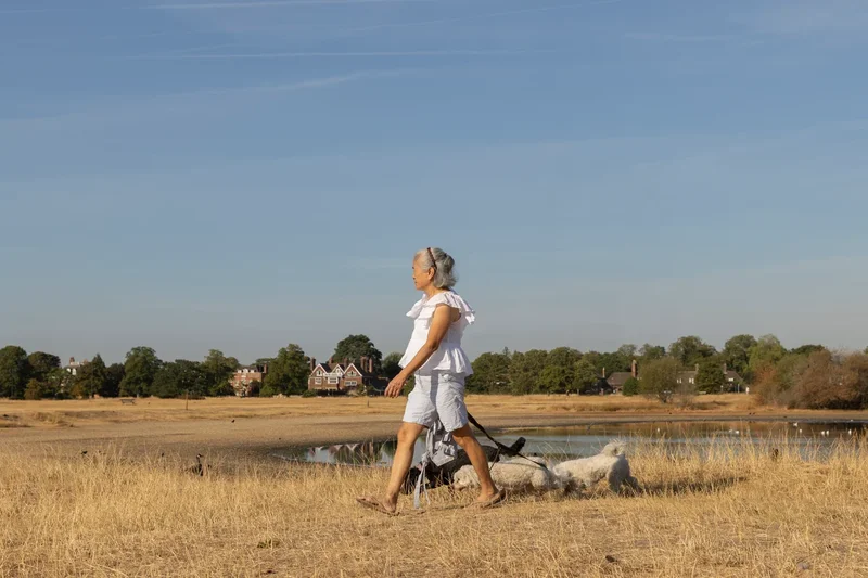 The worrying effects of the UK’s drought that won’t be felt until next year