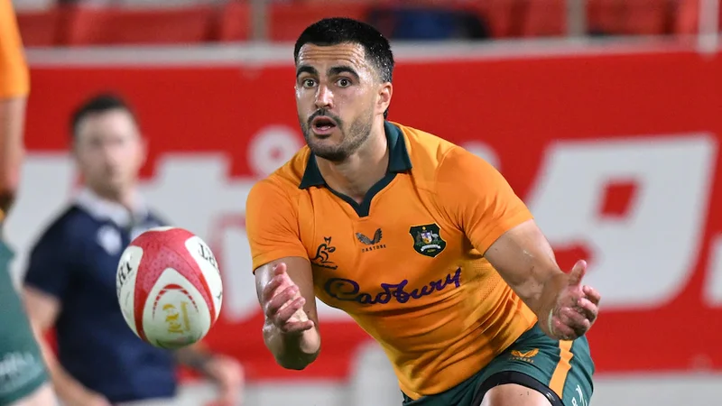 'Licence to play': New Wallabies coach backing players in attack