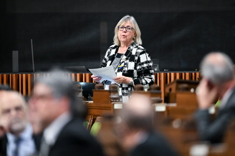 Elizabeth May optimistic Greens can win by-election by campaigning on Carney’s climate record