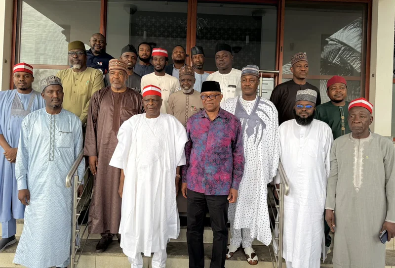 2027: Peter Obi, Kwankwaso meet NDC governorship candidates in Abuja