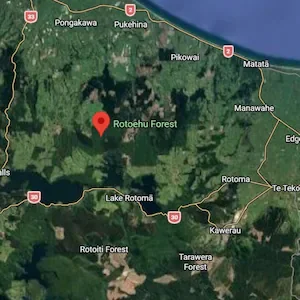 Police investigate death of Harry Burlace after Pongakawa incident