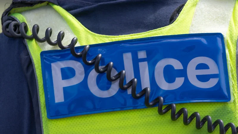 Teen on bail charged with dealing drugs, weapons