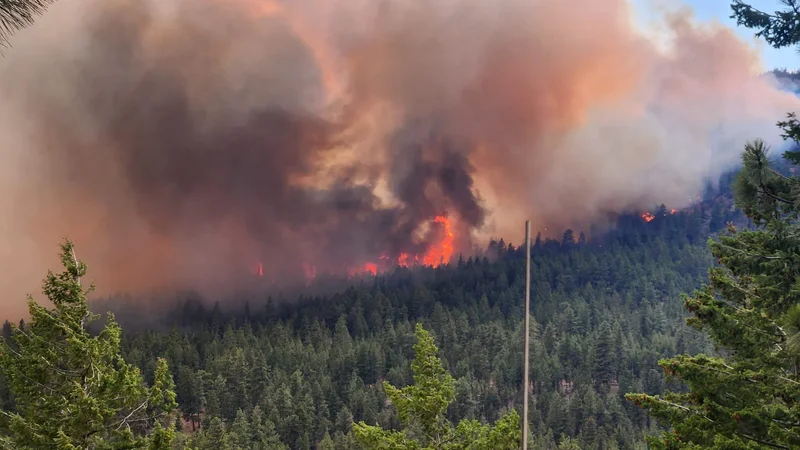 Mexican crews arriving to battle wildfire in Summerland, B.C.