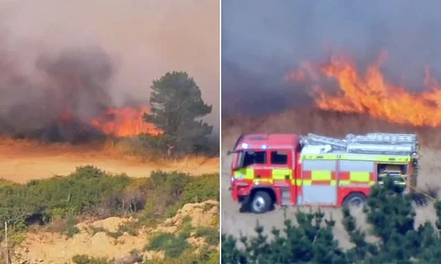 'Terrifying' wildfire threatens golf club in Hollywood's favourite Cornish village as blazes rage across drought-hit Britain