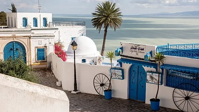 Tunisia: Sidi Bou Said residents welcome UNESCO inscription