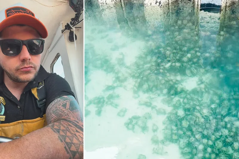 Cornwall harbour overrun by thousands of giant crabs during ‘creepy’ annual event