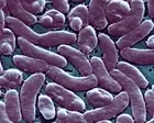 Louisiana warns beachgoers amid surge in flesh-eating bacteria infections