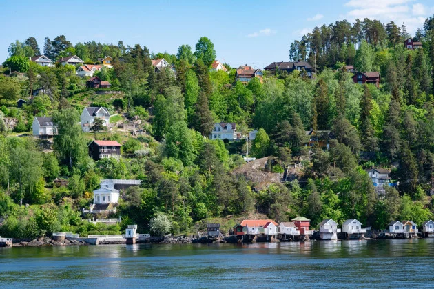 Small forests, big change: How tiny pocket forests can help cities breathe again