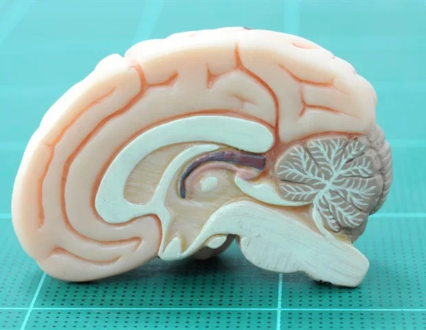 Neuroscience-informed therapy provides massive cost-savings for opioid addiction treatment