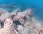 Roman shipwreck with 500 amphorae found off coast of Sicily