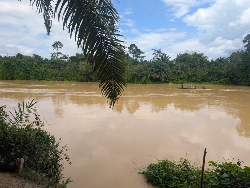 Ghana Has Lost 8,900 Hectares of Forest to Illegal Mining