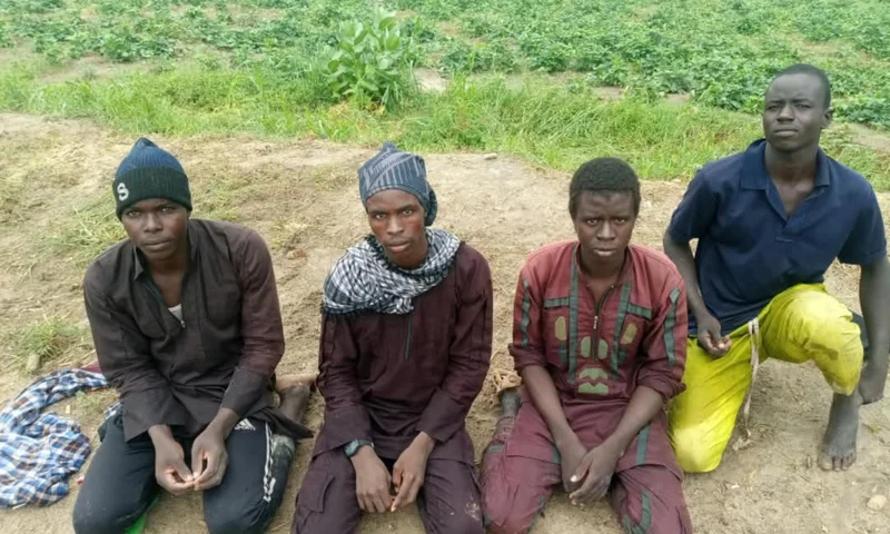 Borno: Four ISWAP fighters surrender, expose terrorist enclave