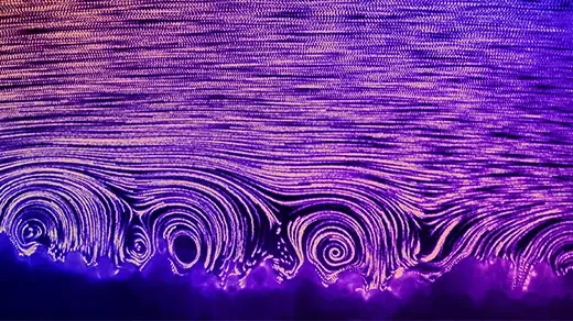 Corals Spin Tiny Vortices to Get Oxygen, but Not if It’s Too Hot