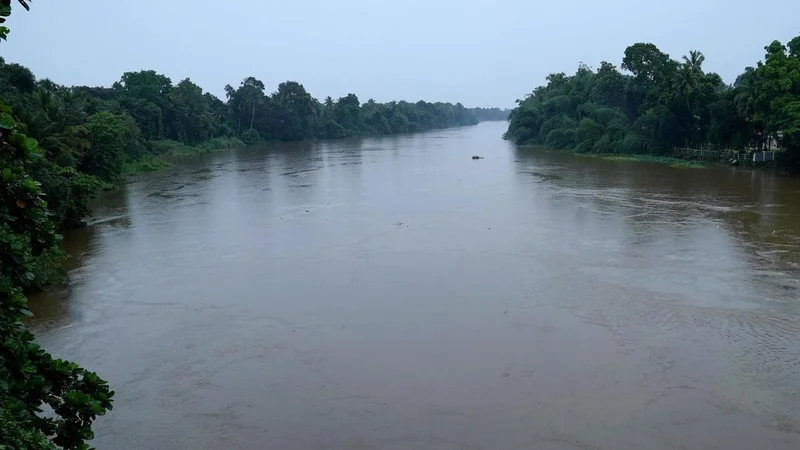 As Pampa silts up, floods become the new normal in Kerala’s Ranni
