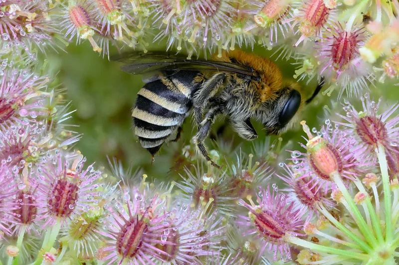 10 moving images from the International Nature Photography Festival
