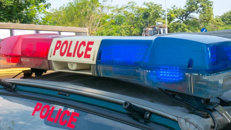 Bihar witnesses decline in number of major criminal cases of murder, dacoity, riots