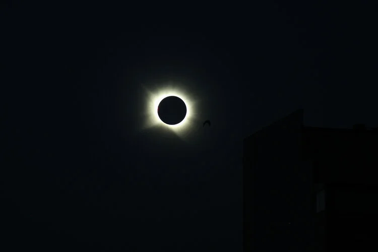 A look back at the 2026 total solar eclipse