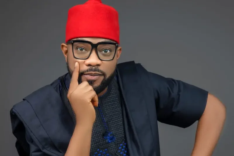 2027: APP will win elective positions through ballot not court – Ugochinyere