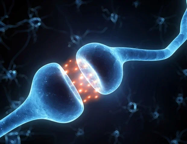 Inherited Neandertal gene variant increases muscle mass in modern humans