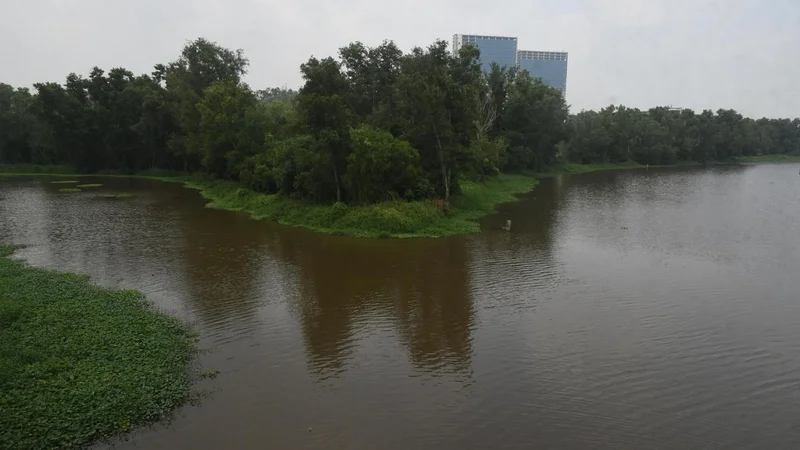 NGT pulls up Keralam PCB over ‘incomplete’ report on measures to curb Kadambrayar river pollution
