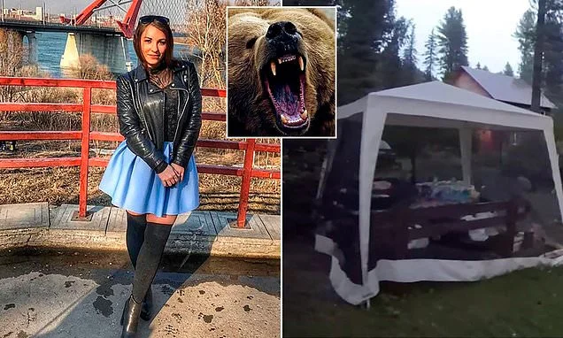 Bride-to-be is dragged from tent and mauled to death by brown bear in front of her fiance