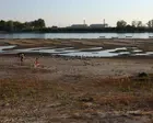 Hungary comes ‘within millimetres’ of shutting down nuclear power plant amid drought crisis – Europe live