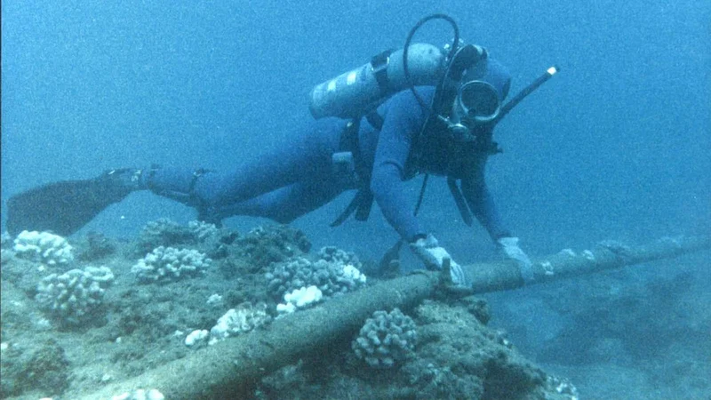 Chinese ship spotted 'lurking' near Taiwan's subsea internet cables linking it to the US