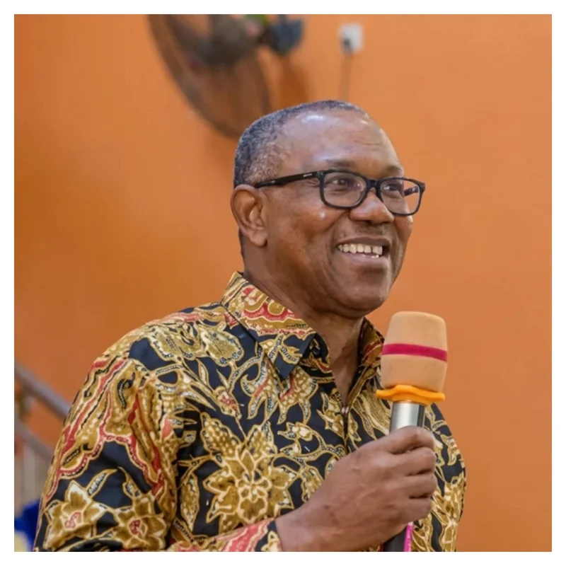 Peter Obi urges voters to ‘punish’ politicians who violate peace accord