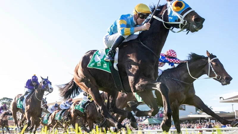 Three big hopes for trainers at Gosford