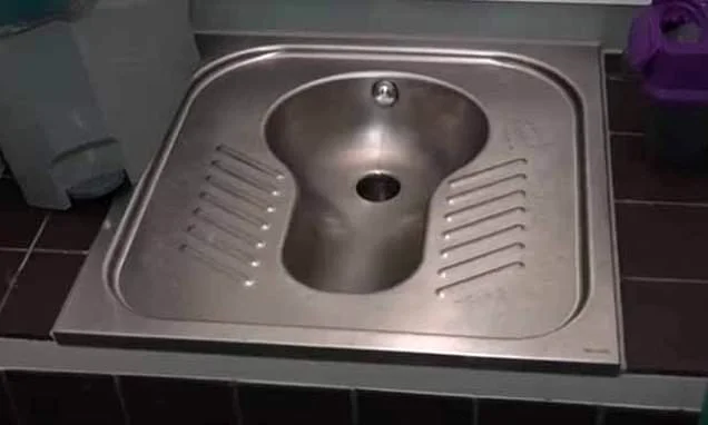 RICHARD LITTLEJOHN: A council installing £1million 'squat' toilets for foreigners is proof that Britain's going down the pan