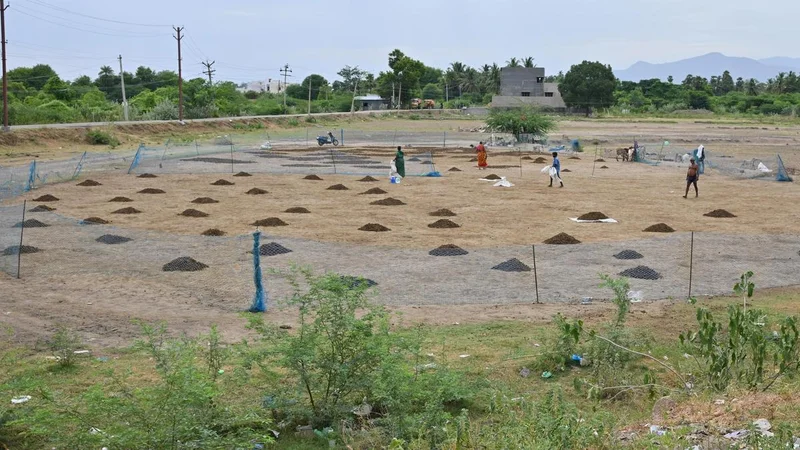 As TVK government prepares its first agriculture Budget in Tamil Nadu, farmers, traders pitch reforms for water, markets