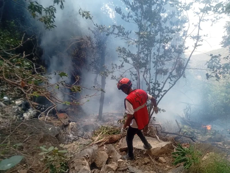 Five Americans, Ecuador intelligence chief killed in helicopter crash in Kenya