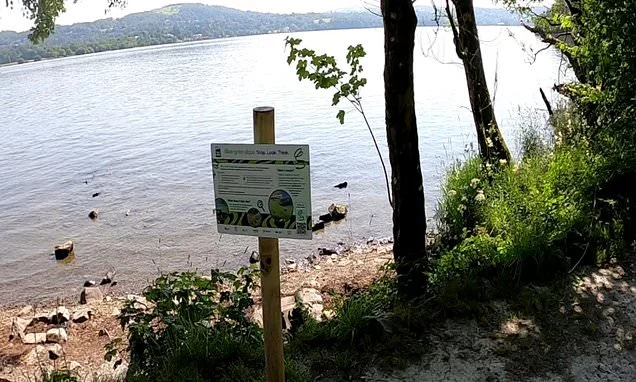 New warnings for Lake District tourists over toxic 'blue-green' algae that can kill dogs and make humans ill