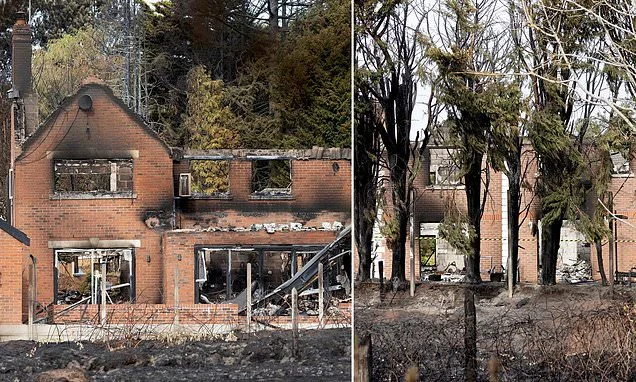 'Apocalyptic' aftermath of Stourbridge wildfire revealed as residents return to their homes on millionaires' row after they were destroyed by inferno