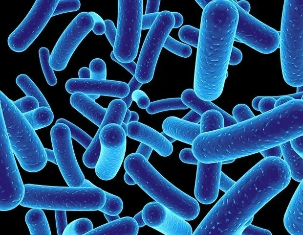 Microbiome-based therapy may increase peanut allergy tolerance in adults