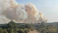Vehicle fire shuts stretch of A31 as fire crews combat blaze