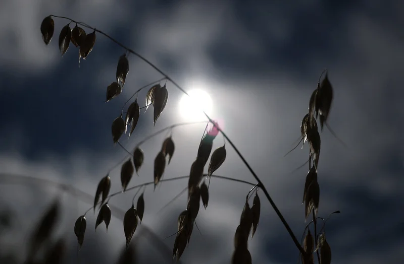 Heatwave economy: Why investors are watching Europe's weather