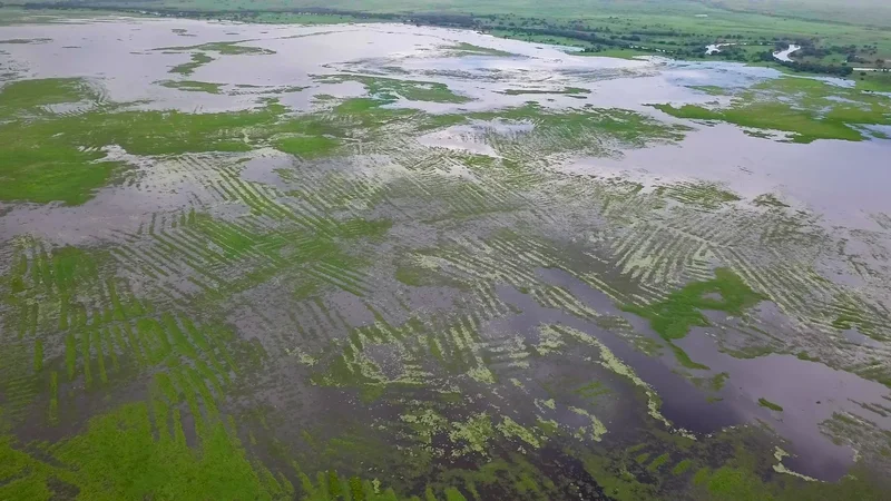 Ancient South American families built massive waterways by themselves