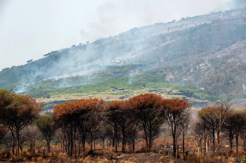In Numbers: How bad are Italy's wildfires and who's to blame?