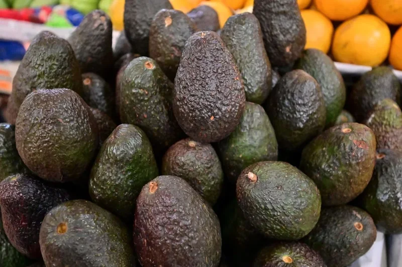 US resumes avocado inspections in Mexico after a security scare