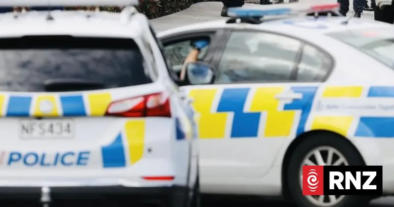 Person seriously injured after stabbing in Te Atatū, Auckland