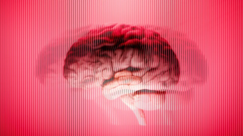 Scientists just discovered a big limitation in lab-grown minibrains — they have a skewed 'sense of time'