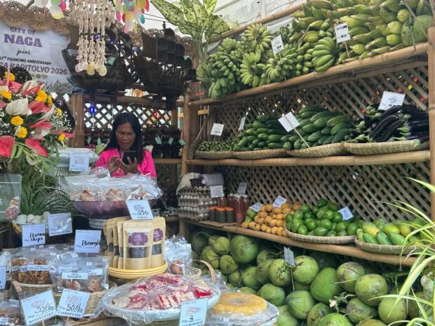 Tabo sa Kapitolyo: Cebu’s cities, towns offer their signature products