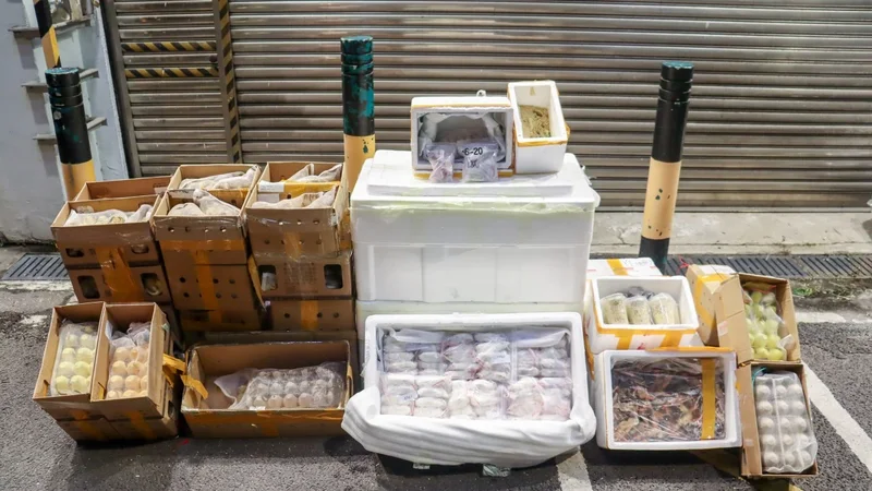 Cockroaches, frozen rats among 118kg of pests, pet food seized in Hong Kong