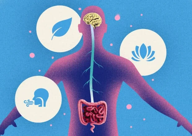 Regulating the nervous system for your overall health